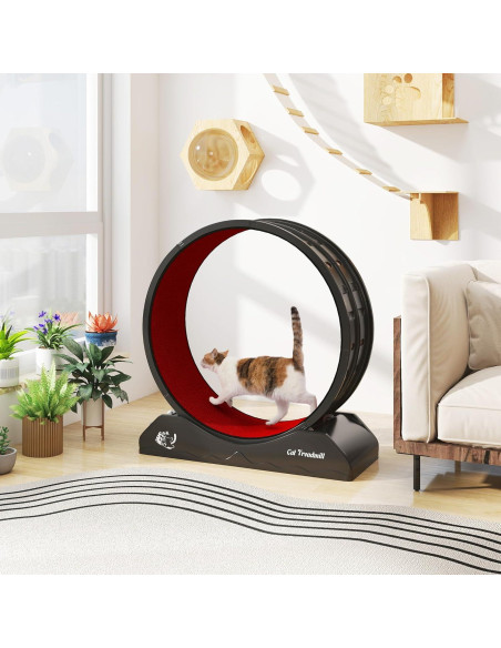 Rueda de Ejercicio para Gatos COZIWOW Negra 70 cm Rueda de Ejercicio para Gatos COZIWOW Negra 70 cm