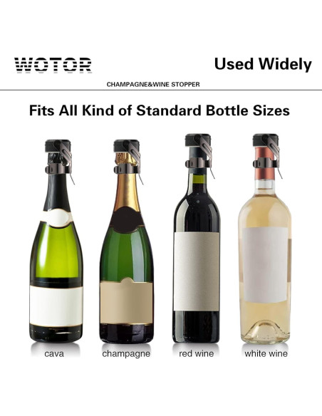 Tapones de Vino y Champagne WOTOR Acero Inoxidable 2 Piezas Tapones de Vino y Champagne WOTOR Acero Inoxidable 2 Piezas