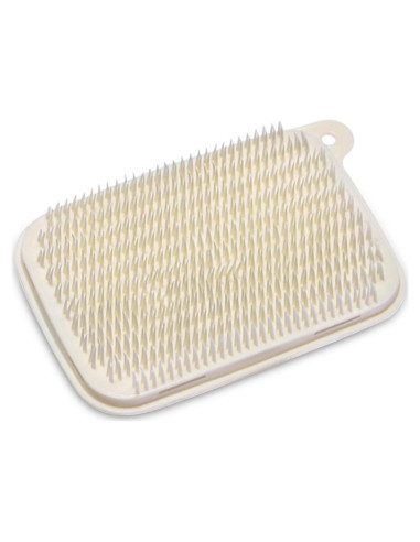 Cepillo de Verduras Clipore 2 Piezas Cerdas Suaves 12x8cm