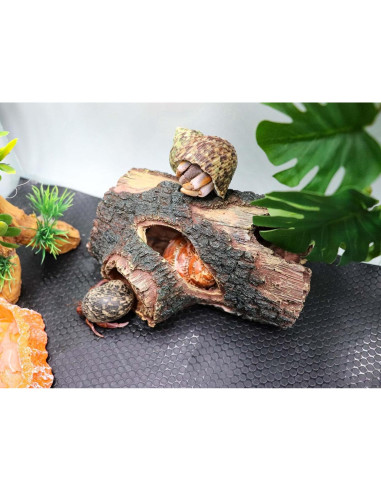 Escondite de Cangrejo Ermitaño Neeenn 13.5x7x6 CM Resina