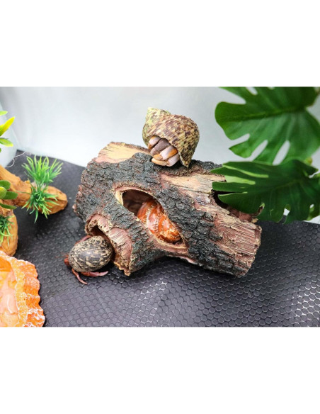 Escondite de Cangrejo Ermitaño Neeenn 13.5x7x6 CM Resina Escondite de Cangrejo Ermitaño Neeenn 13.5x7x6 CM Resina