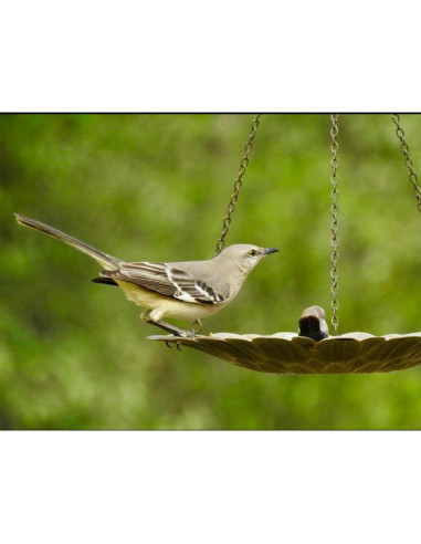 Comedero Colgante para Aves Topadorn de Metal 30.48 cm