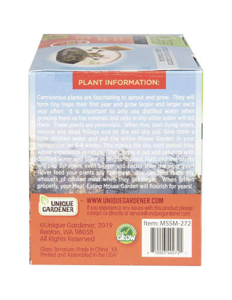 Kit de Terrario de Vidrio Unique Garden Jardín Carnívoro Kit de Terrario de Vidrio Unique Garden Jardín Carnívoro