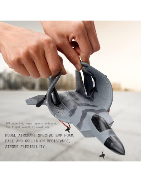Avión RC F22 Raptor BEHORSE 250mm Control Remoto Avión RC F22 Raptor BEHORSE 250mm Control Remoto