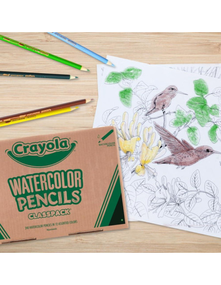 Lápices Acuarelables Crayola 240ct para Aula, 12 Colores Lápices Acuarelables Crayola 240ct para Aula, 12 Colores