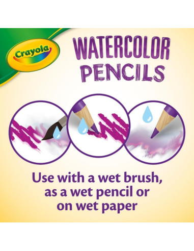 Lápices Acuarelables Crayola 240 Piezas para Aula