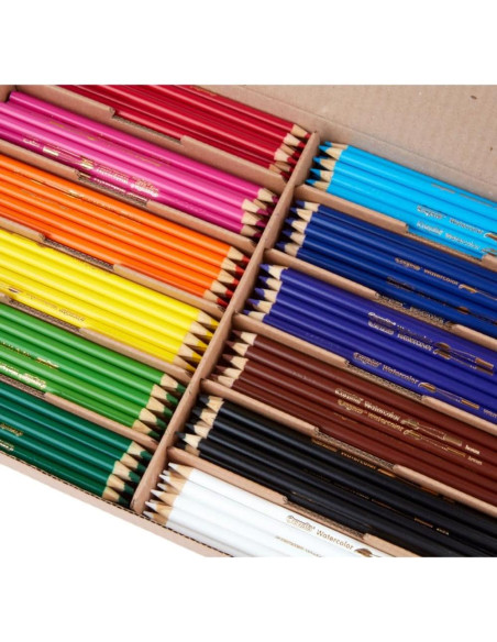Lápices Acuarelables Crayola 240 Piezas para Aula Lápices Acuarelables Crayola 240 Piezas para Aula