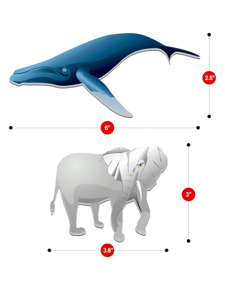 Imán de Animales del Zoológico SpriteGru 59 Piezas Imán de Animales del Zoológico SpriteGru 59 Piezas