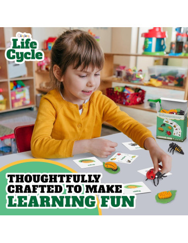 Kit Ciclo de Vida Montessori GLINGLONG - Juguete Educativo