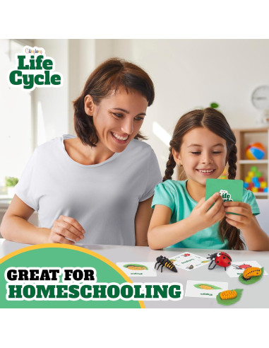 Kit Ciclo de Vida Montessori GLINGLONG - Juguete Educativo