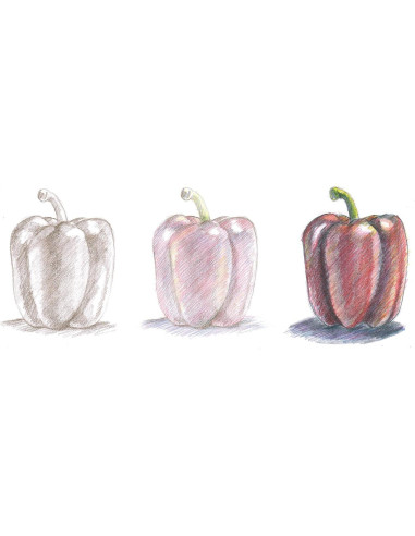 Kit de Arte Faber-Castell Do Art - 10 Lápices Ecológicos