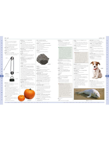 Merriam-Webster Children's Dictionary, New Edition: Features 3,000 Photographs and Illustrations