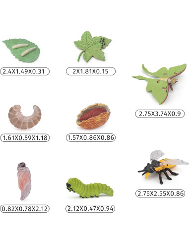 Conjunto de Ciclo de Vida de Insectos 8 PZS BRETOYIN