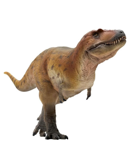Modelo Dinosaurio PNSO 70 Keynes The Lythronax 25cm Modelo Dinosaurio PNSO 70 Keynes The Lythronax 25cm