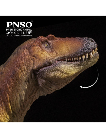 Modelo Dinosaurio PNSO 70 Keynes The Lythronax 25cm Modelo Dinosaurio PNSO 70 Keynes The Lythronax 25cm