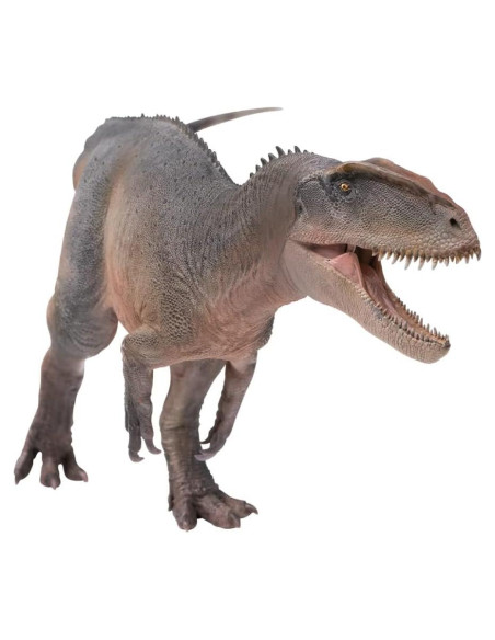 Modelo Dinosaurio PNSO 62Xinchuan El Sinraptor 30cm