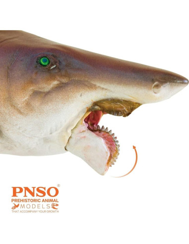 Modelo Prehistórico PNSO 43 Haylee El Helicoprion 25cm