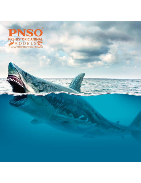 Animal Marino PNSO Patton Megalodon 32x13x16 cm Animal Marino PNSO Patton Megalodon 32x13x16 cm