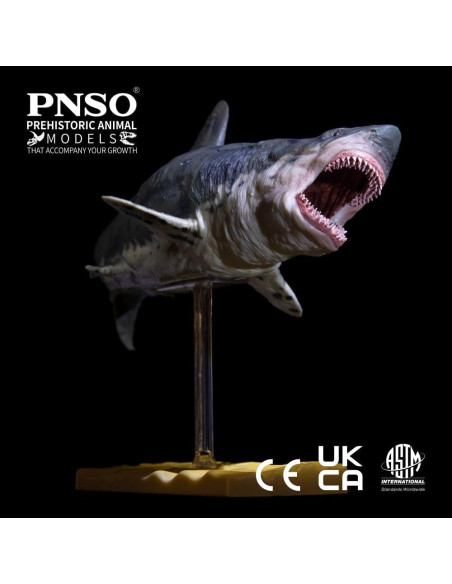 Animal Marino PNSO Patton Megalodon 32x13x16 cm Animal Marino PNSO Patton Megalodon 32x13x16 cm