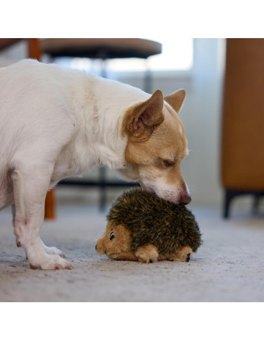 Juguete de Peluche para Perros Outward Hound Hedgehogz Pequeño