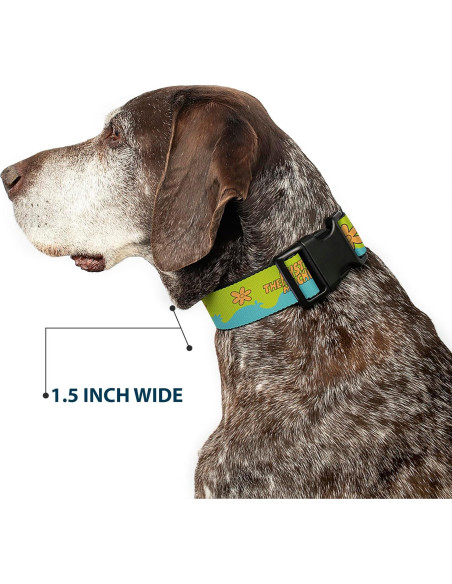 Collar para Perro Scooby Doo Buckle-Down 38-61 cm Ancho 2.54 cm Collar para Perro Scooby Doo Buckle-Down 38-61 cm Ancho 2.54 cm