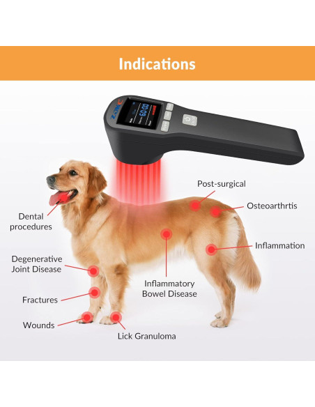 Terapia con Láser Frío ZJKC para Mascotas 4x808nm+16x650nm Terapia con Láser Frío ZJKC para Mascotas 4x808nm+16x650nm