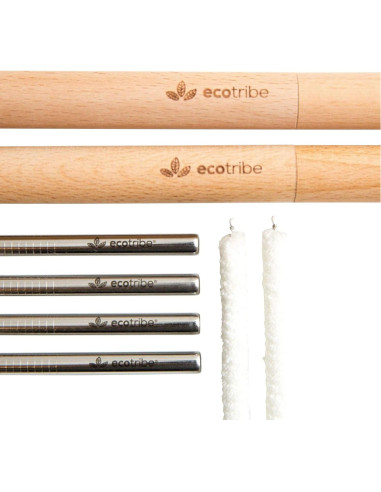 Juego de 4 Pajitas Metálicas Reutilizables EcoTribe - Acero Inoxidable, 21.6 cm