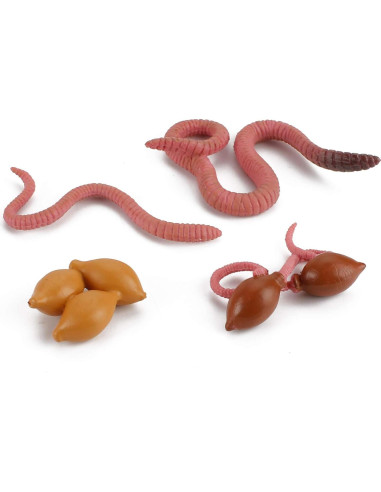 Juego de figuras educativas de ciclo de vida de lombriz - Fantarea