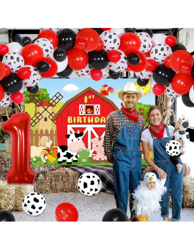 Decoraciones de Cumpleaños de Granja Balterever - 50 Globos y Fondo