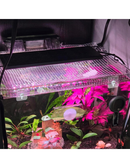 Malla Transparente JoyHuaTrade 1x2m para Acuario con Tornillos Malla Transparente JoyHuaTrade 1x2m para Acuario con Tornillos