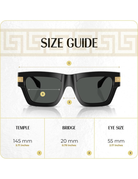Gafas de sol Versace VE4464 para hombres + Kit iWear Gafas de sol Versace VE4464 para hombres + Kit iWear