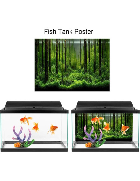 Póster de Acuario Hakeeta PVC 61x30cm Fondo Adhesivo Póster de Acuario Hakeeta PVC 61x30cm Fondo Adhesivo