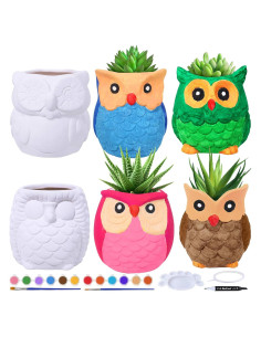 Kit de Macetas Cerámicas Winlyn 6 Búhos para Pintar