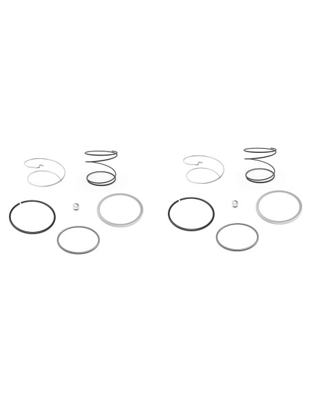 Kit de primavera Dewalt N078434 y bola N089668 - 2 piezas Kit de primavera Dewalt N078434 y bola N089668 - 2 piezas