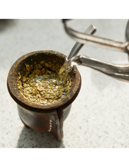 Cápsulas de Yerba Mate Ingredientes Originales Puros 100 Unidades Cápsulas de Yerba Mate Ingredientes Originales Puros 100 Unidades