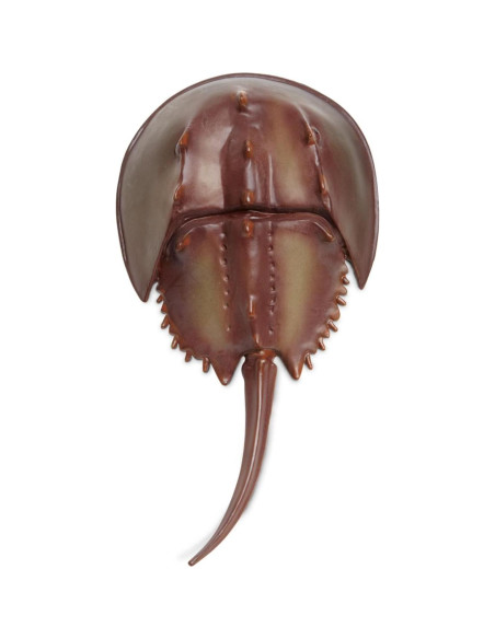 Figurita Cangrejo de Herradura Safari Ltd. 17.78 cm Educativa Figurita Cangrejo de Herradura Safari Ltd. 17.78 cm Educativa