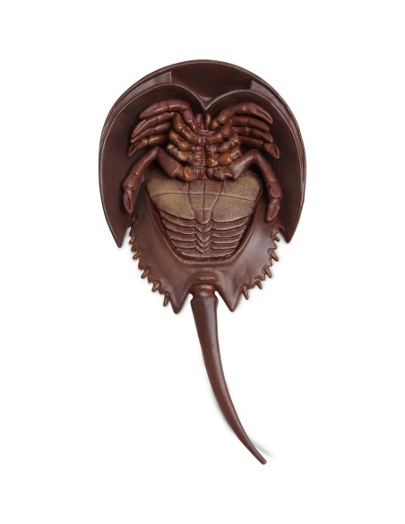 Figurita Cangrejo de Herradura Safari Ltd. 17.78 cm Educativa Figurita Cangrejo de Herradura Safari Ltd. 17.78 cm Educativa