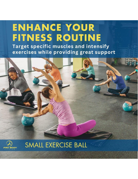 Pelota de Ejercicio ProBody Pilates 22,86 cm con Bomba Pelota de Ejercicio ProBody Pilates 22,86 cm con Bomba