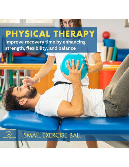 Pelota de Ejercicio ProBody Pilates 22,86 cm con Bomba Pelota de Ejercicio ProBody Pilates 22,86 cm con Bomba