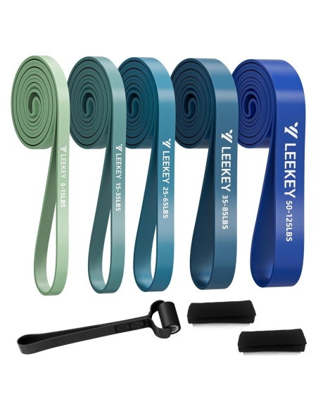 Bandas de Resistencia LEEKEY 5-125LBS para Ejercicio en Casa Bandas de Resistencia LEEKEY 5-125LBS para Ejercicio en Casa