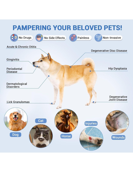 Dispositivo de Terapia Láser Frío iTHERAU para Humanos y Mascotas Dispositivo de Terapia Láser Frío iTHERAU para Humanos y Mascotas