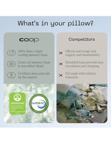 Set de 4 Piezas Almohadas Eden y Protectores Coop Home Goods