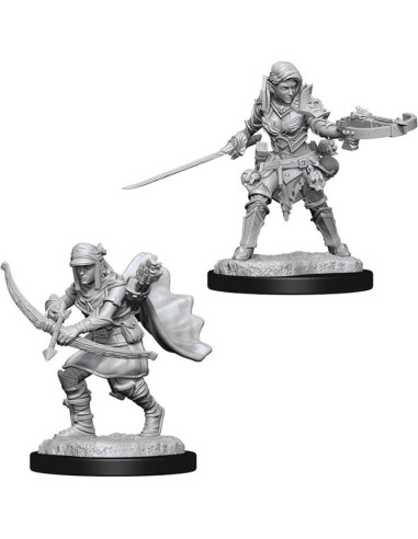 Miniaturas Sin Pintar WizKids Pathfinder Exploradora Semi-Elfa