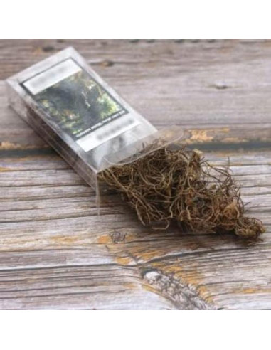 Modelo de Raíz de Vegetación Miniatura Warmtree para Diorama