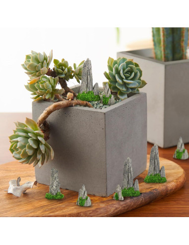12 Mini Rocallas Decorativas Hanycon para Jardín Bonsai