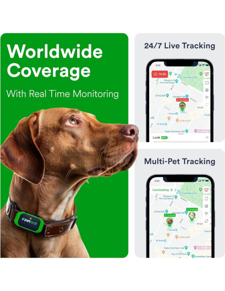 Rastreador GPS Petloc8 para Perros - Impermeable y Ligero Rastreador GPS Petloc8 para Perros - Impermeable y Ligero