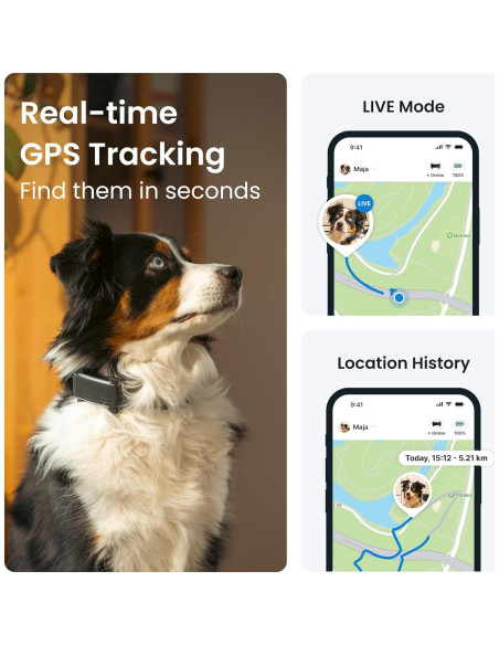 Rastreador GPS para Perros Tractive TG6A Negro - Salud y Seguridad Rastreador GPS para Perros Tractive TG6A Negro - Salud y Seguridad