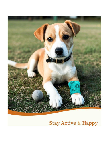 Venda Autoadhesiva Veterinaria FriPuP 5,08 cm 8 Rollos Colores