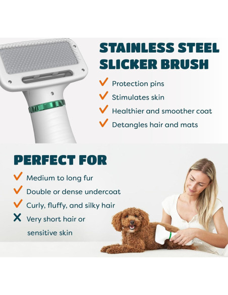 Secador de Pelo 2 en 1 KUUBIA para Perros y Gatos Pequeños 300W Secador de Pelo 2 en 1 KUUBIA para Perros y Gatos Pequeños 300W