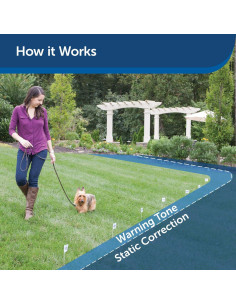 Cerca Subterránea para Perros Obstinados PetSafe - Collar Ajustable 2